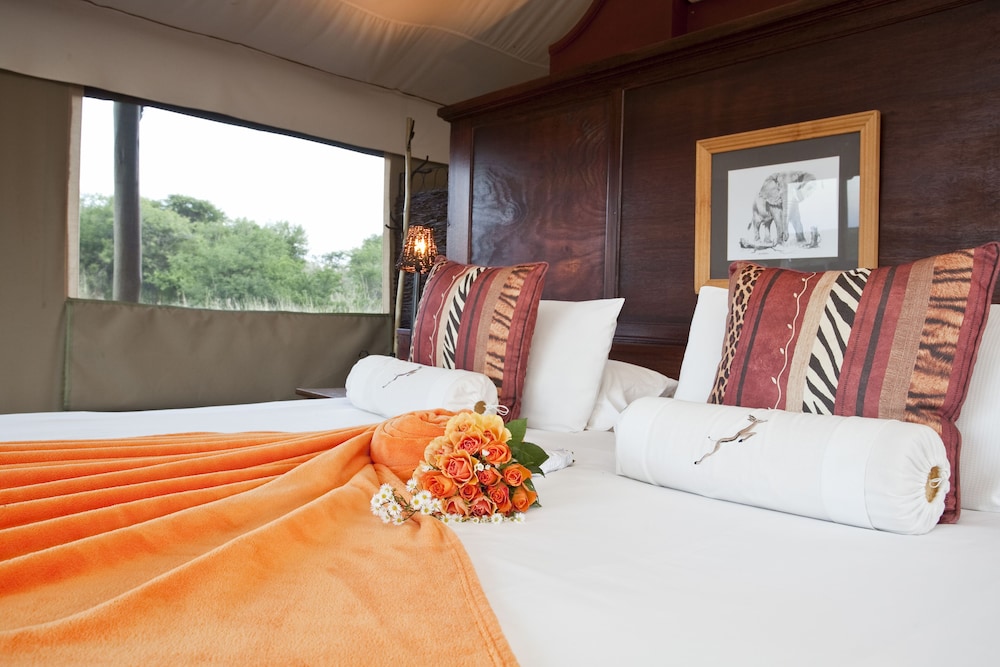 The Springbok Lodge