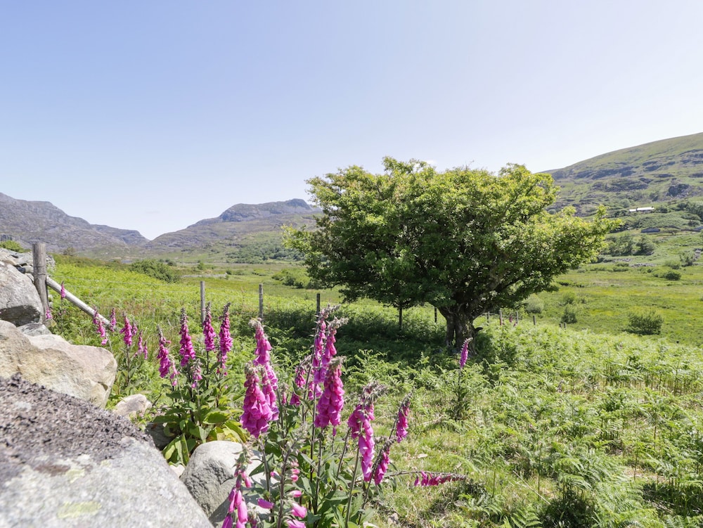 Llethr - Shepherds Hut
