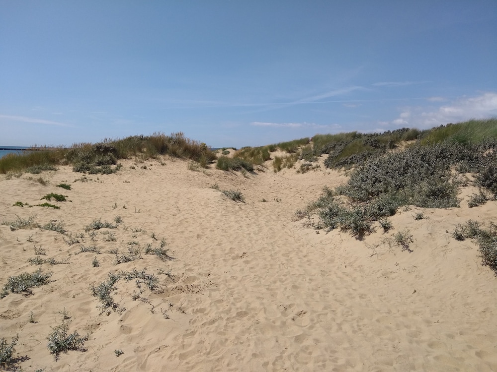 Photo 49