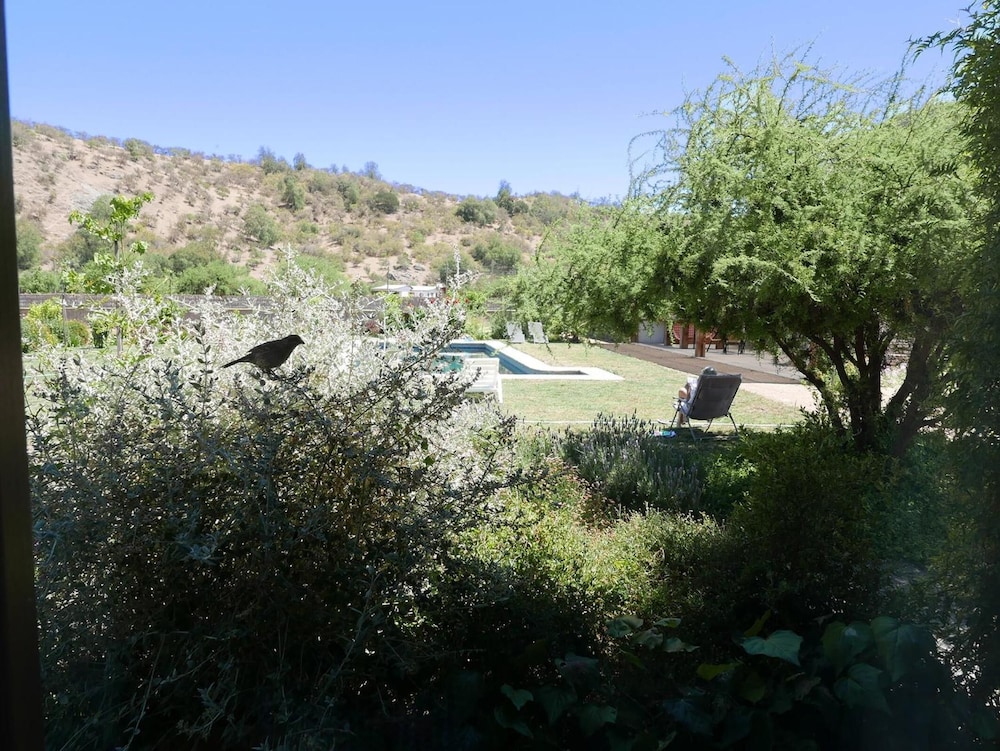 Photo 52