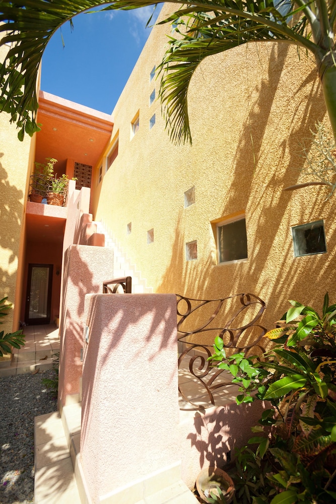 Coral Sands 4