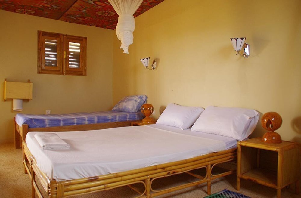 Hotel Mimosa - Hostel