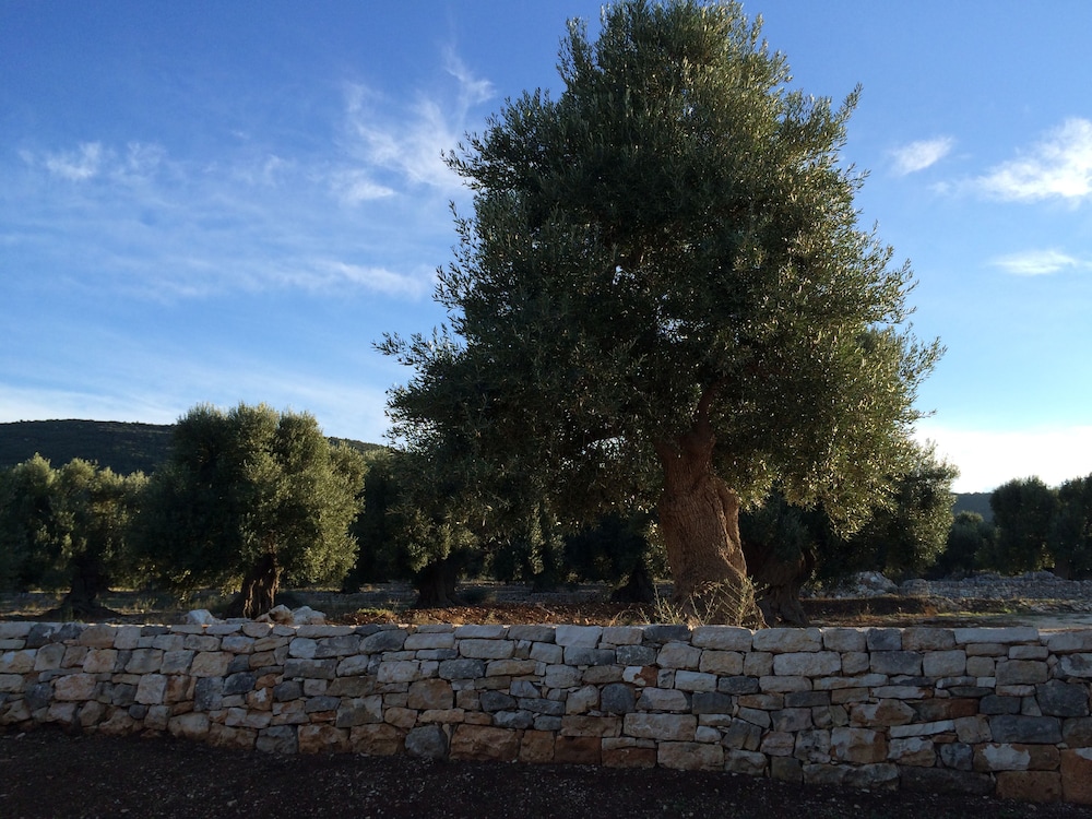 Masseria Capece