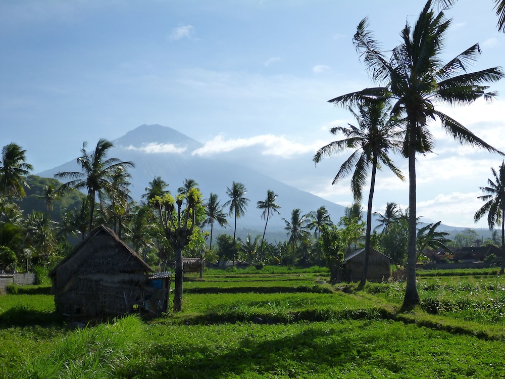 Bali Fab Dive Center - Hostel