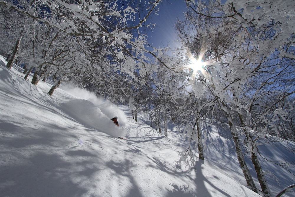 Hakuba Powder Lodge