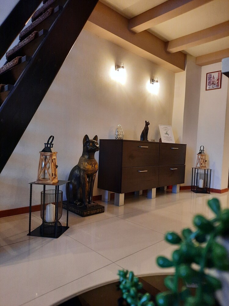 Luxury Senate Apartment
