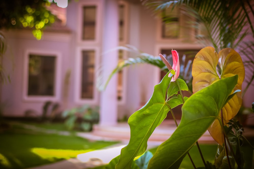 Zawadi House