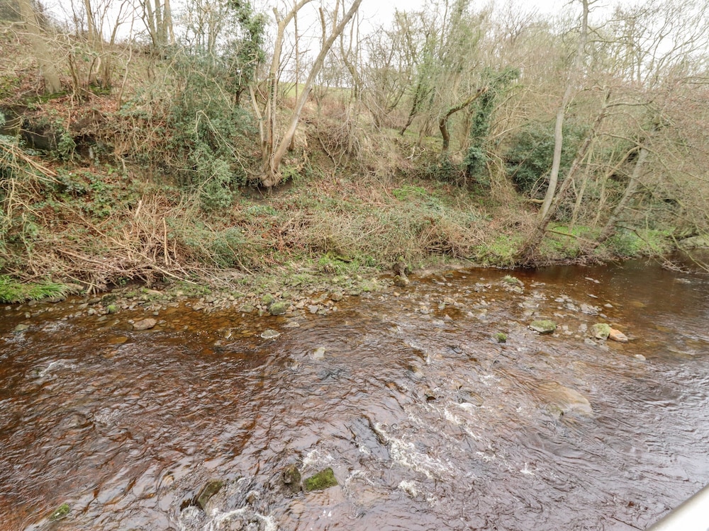 Riverbank View