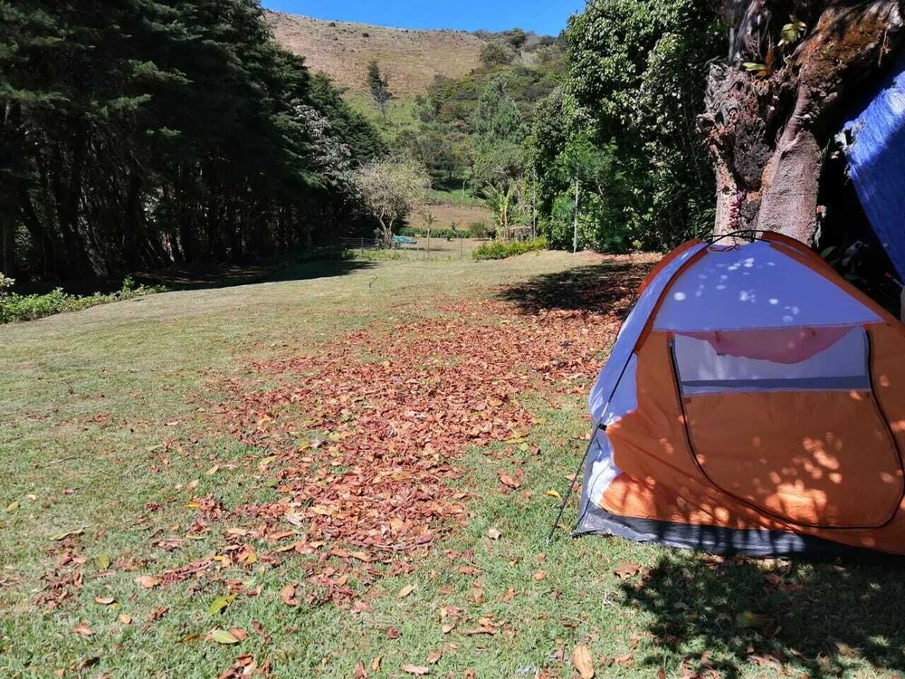Sofi's Hostel Monteverde view 2