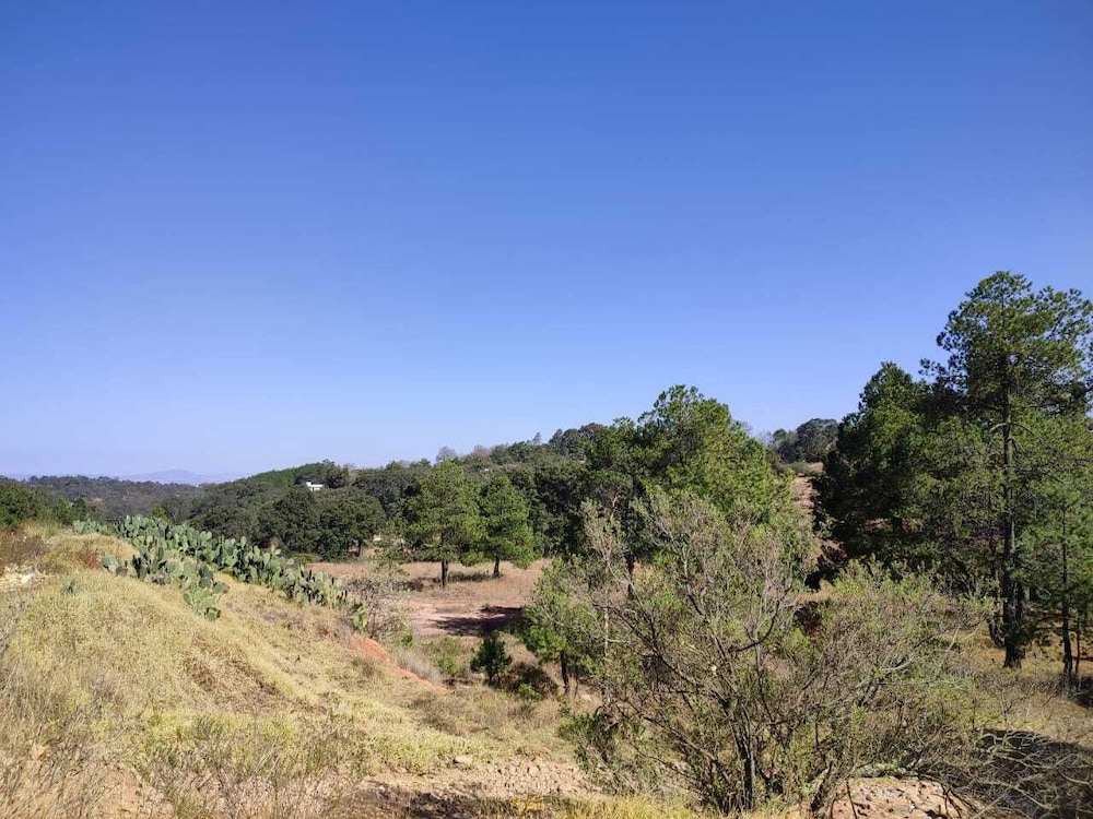 Finca Mayorga