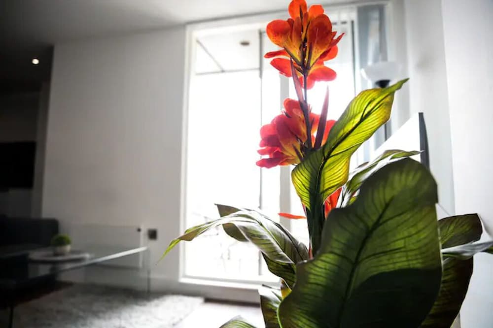 Modern 2 Bedroom Flat City Centre with Parking/Balcony view 5
