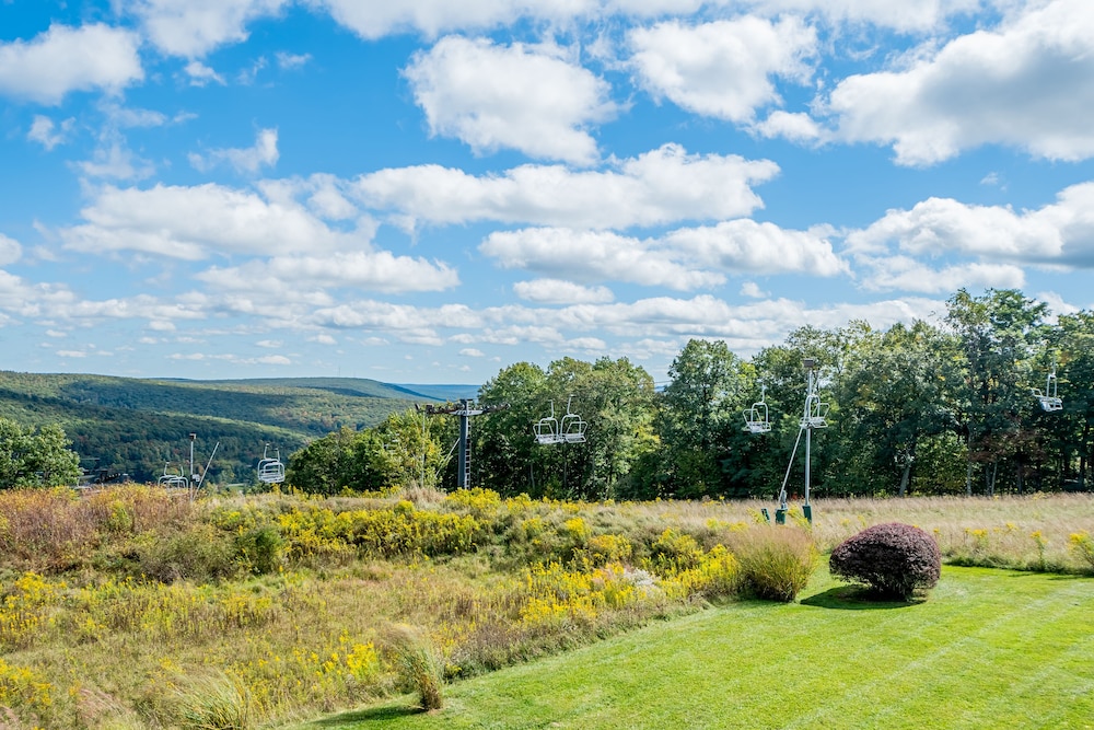 Wispy Business - Property Image 11