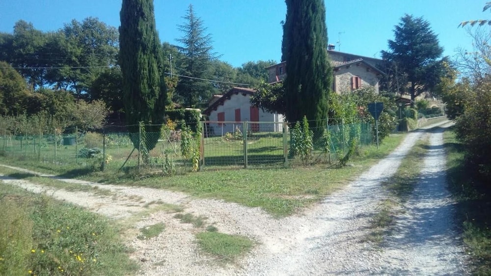 Photo 21