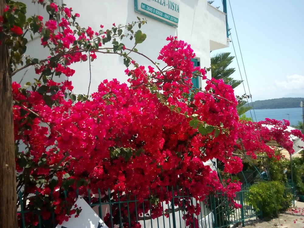 Bella Vista Apartments
