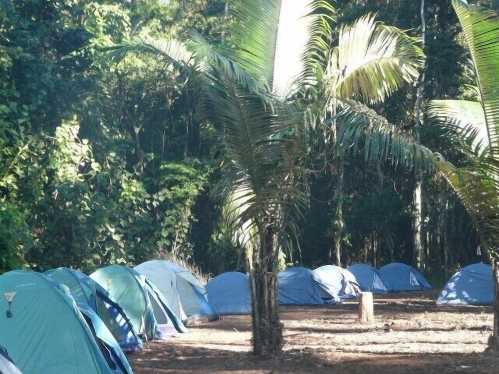 Alto Tambopata Lodge & Campsite