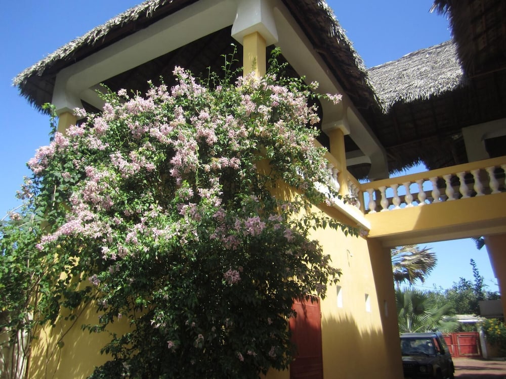 Photo 22