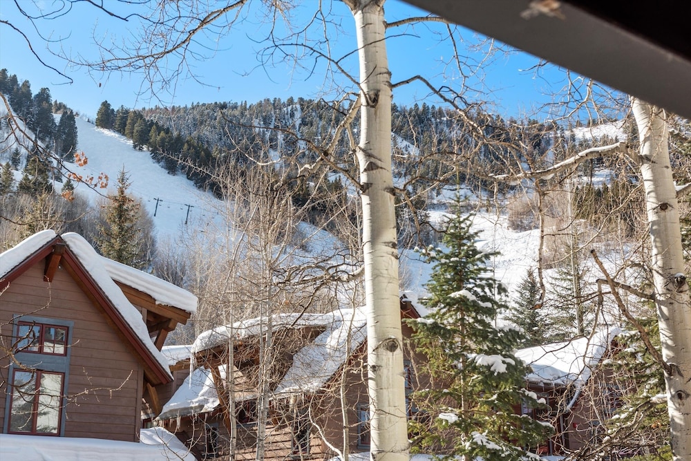 Downtown Aspen Studio Steps to Gondola & Trails - 305A