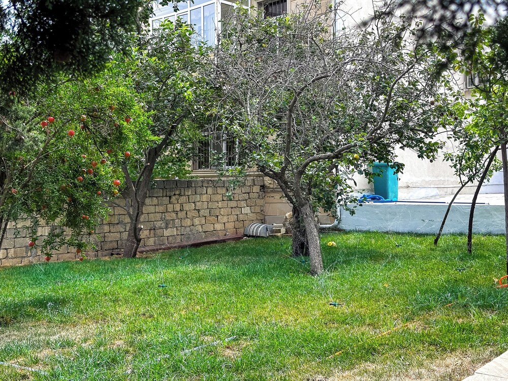Central Vip Villa
