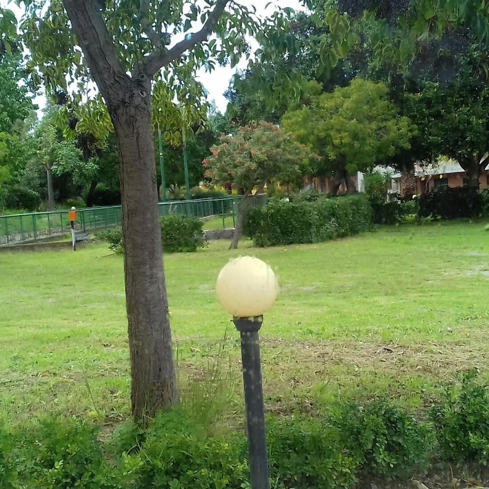 Photo 47