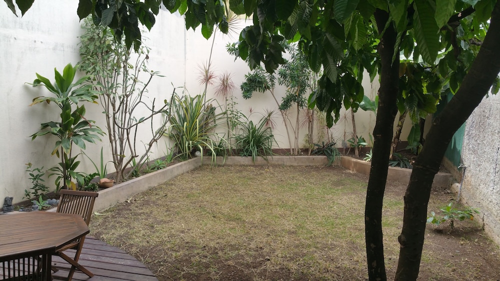 Photo 44