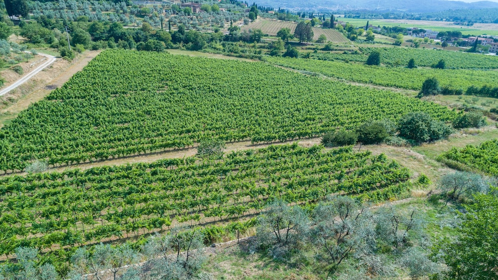 Tenuta La Pieve Casale Presciano