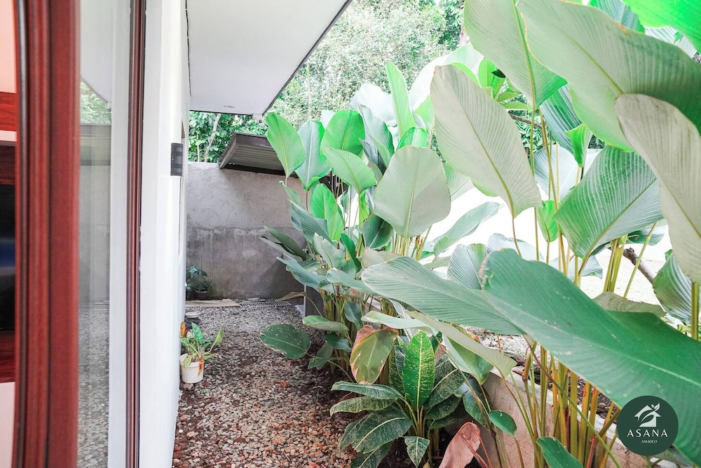 Modern Tropical 2BR Villa & Pool Retreat in Amadeo