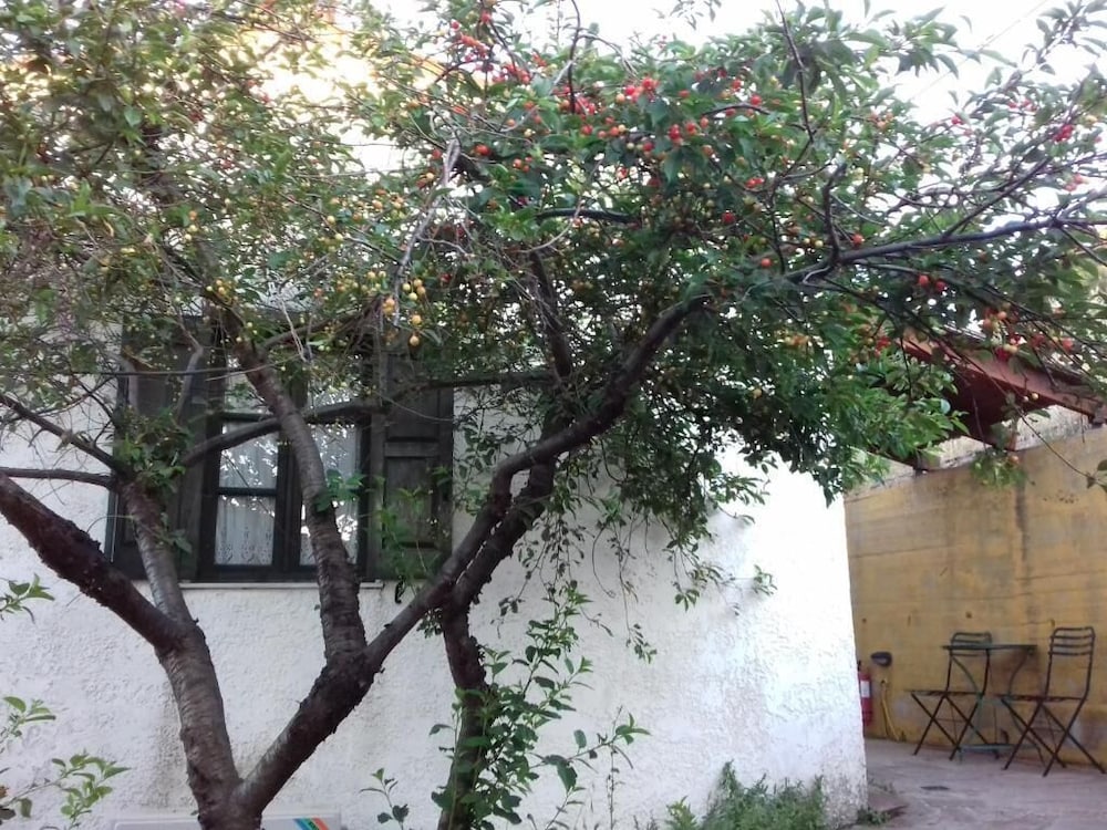 Ikarian Centre