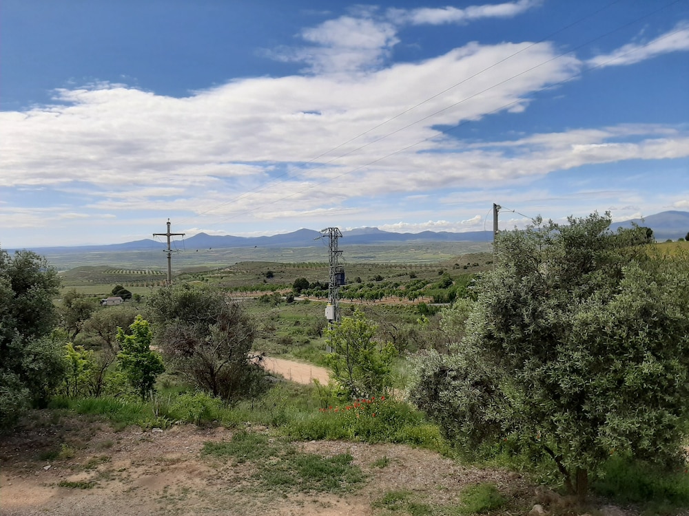 Photo 22