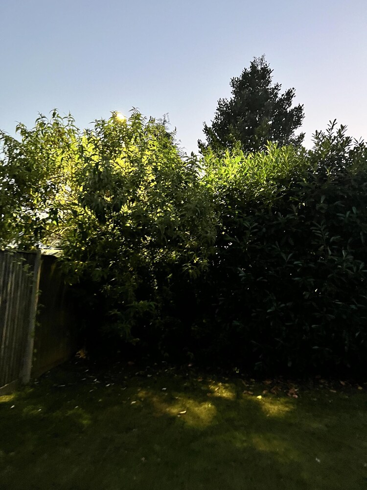 Photo 31
