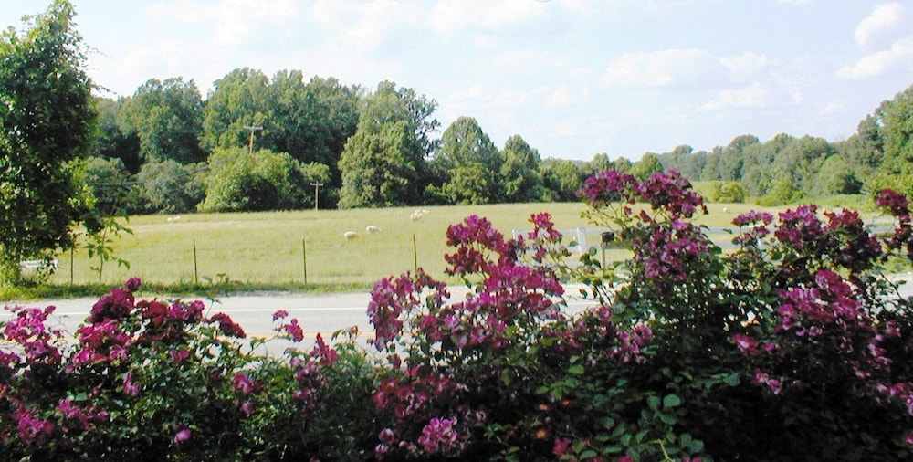 Columbia Vacations - The Columbia Inn at Peralynna Manor - Property Image 124