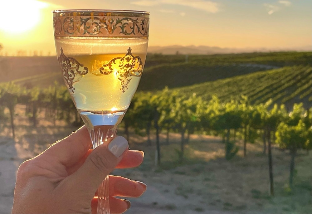 Domaine Chardonnay