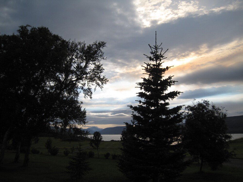 Photo 61