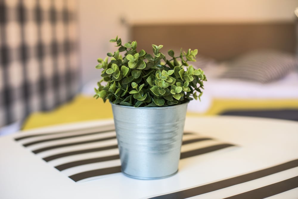 Apartamenty Centrum
