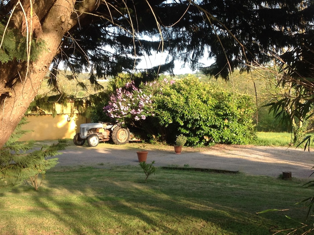 Photo 14