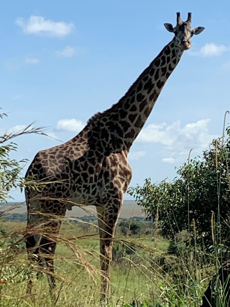 Oreteti Mara Lodge