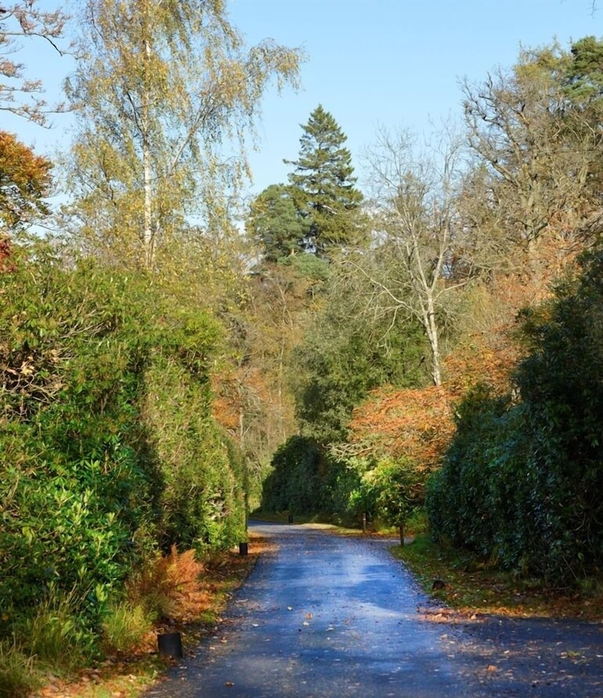Finnich Cottages
