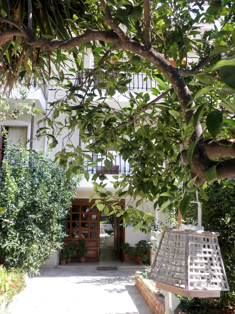 Oasis Apartments