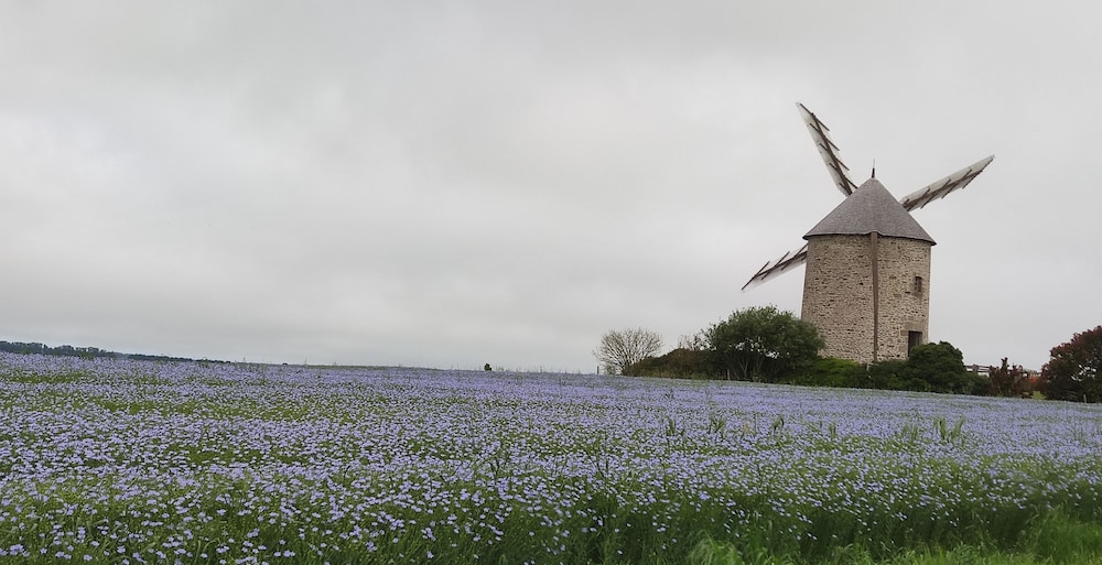 Le petit moulin rouge