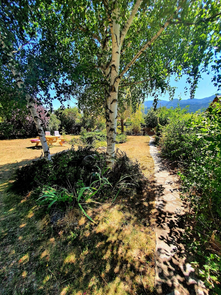 Photo 41