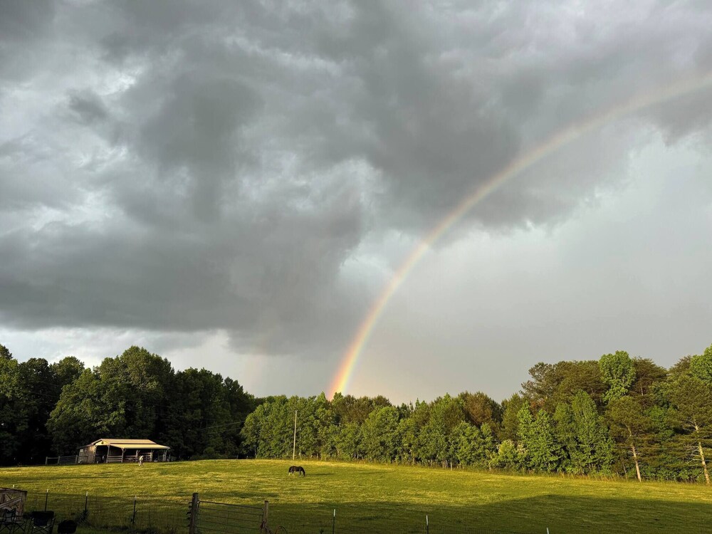 Farm Experience in a Beautiful Log Cabin