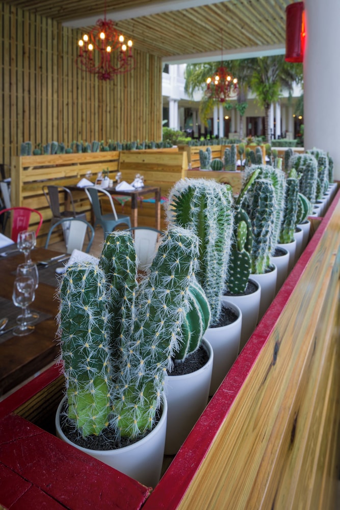 Grand Palladium Lady Hamilton Resort  Spa All Inclusive - Property Image 138