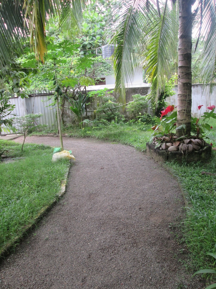 Photo 24