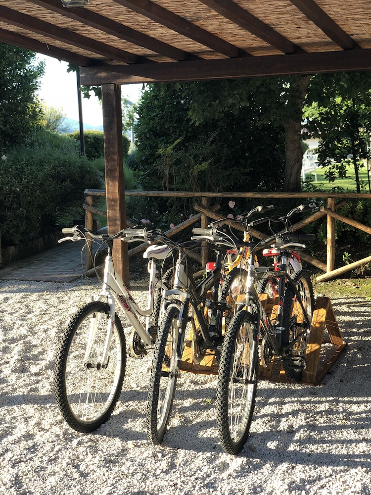 Tenuta Dei Mori