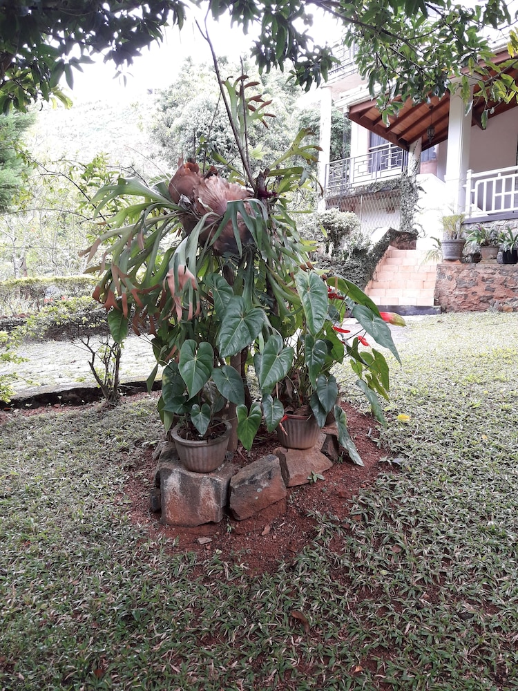 Ka Mario Guesthouse