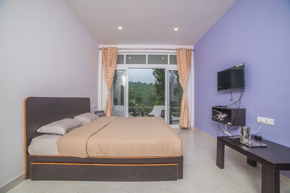Akshu's Nest view 4