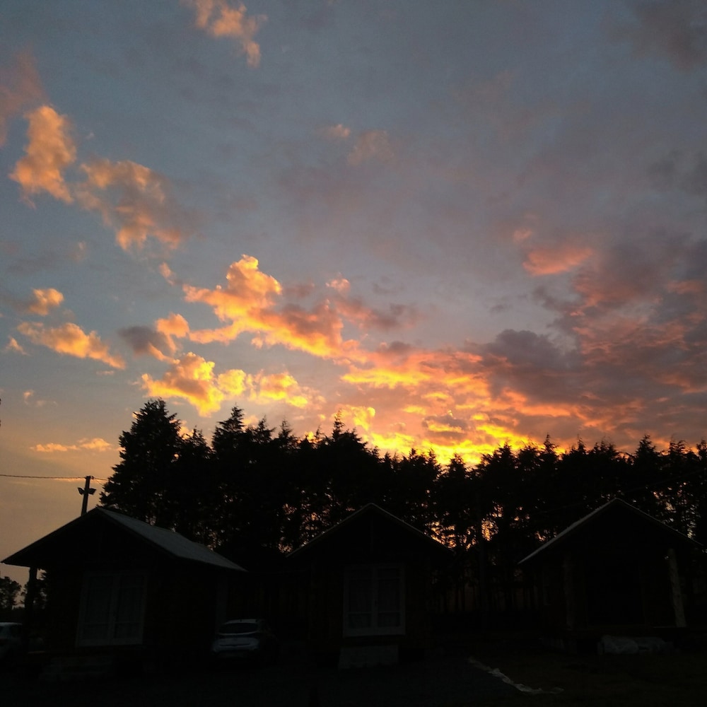 Photo 44