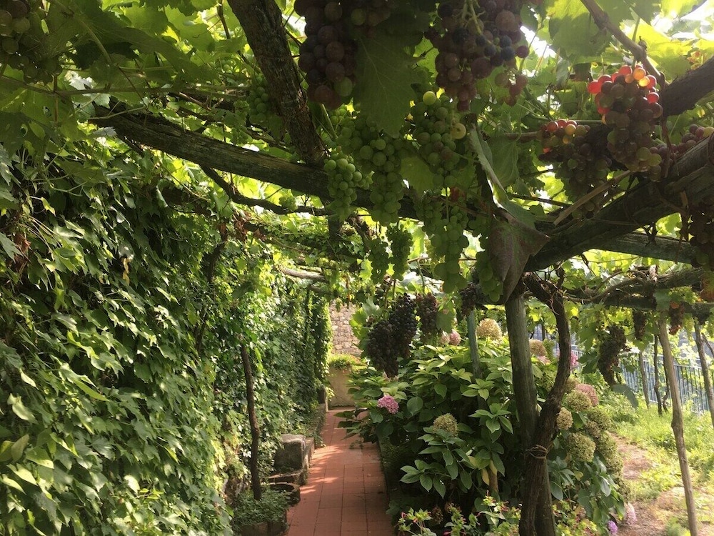 Residence Le Villette en Ravello