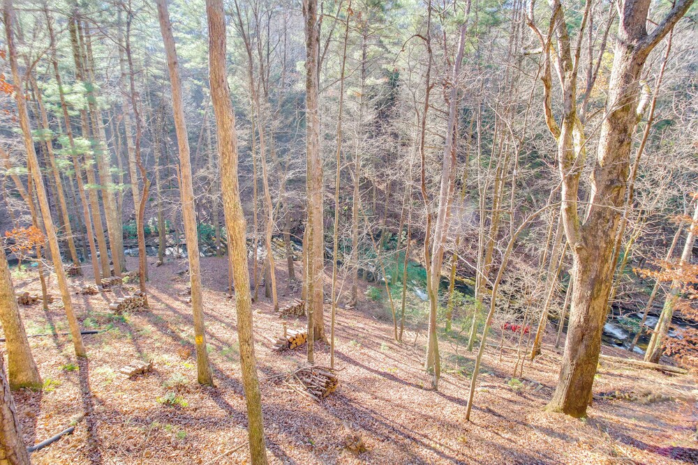 Hot Tub & Creek View at Cabin: 6 Mi to Ellijay!