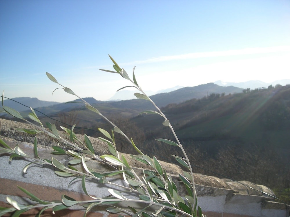 Il Leone Rosso B&B