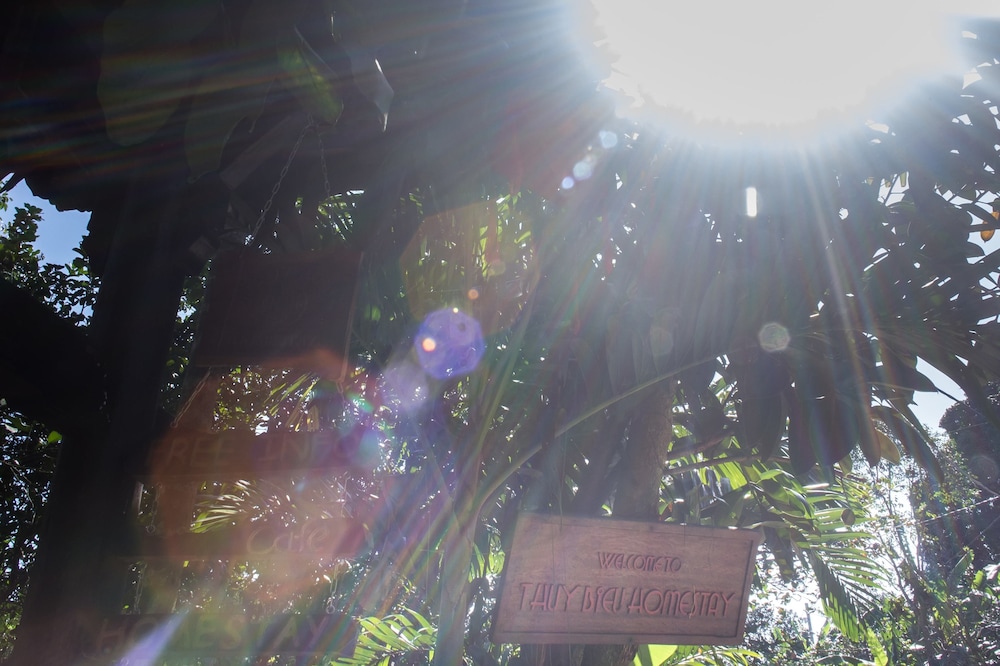 Thuy Bieu Homestay